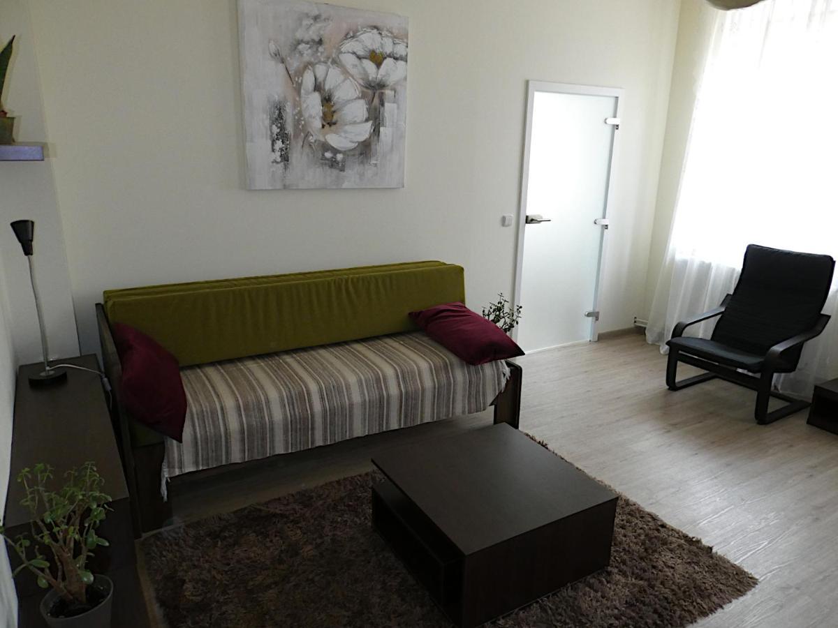 Apartman Marenka Nove Mesto na Morave Luaran gambar